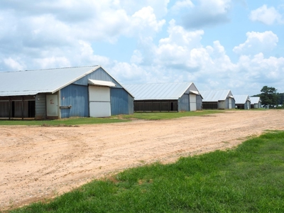 12 House Broiler Poultry Farm 120 Acres for Sale Central MS - image 18