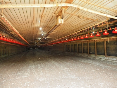 12 House Broiler Poultry Farm 120 Acres for Sale Central MS - image 9