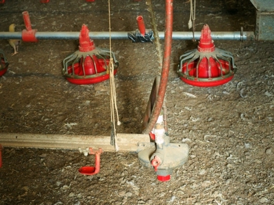 12 House Broiler Poultry Farm 120 Acres for Sale Central MS - image 27