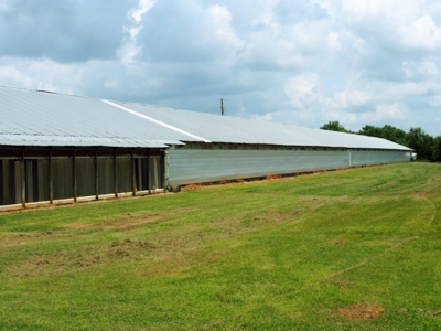 12 House Broiler Poultry Farm 120 Acres for Sale Central MS - image 20