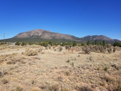 10± Acres of Land with Old Homestead and South Mountain View - image 1