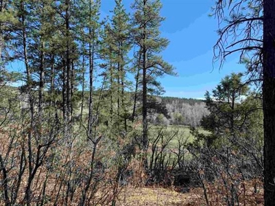 Mountain Property near Chama NM in  Canones Creek Valley - image 1