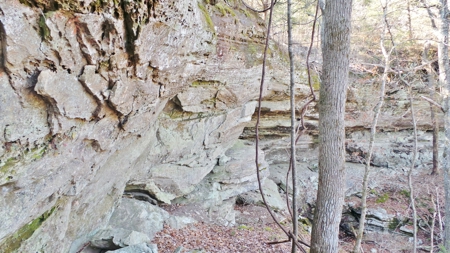 Rocks, Bluffs And The Buffalo National River - image 9