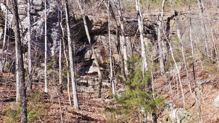 Rocks, Bluffs And The Buffalo National River - image 13