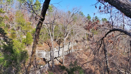 Rocks, Bluffs And The Buffalo National River - image 6