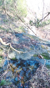 Rocks, Bluffs And The Buffalo National River - image 5