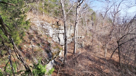 Rocks, Bluffs And The Buffalo National River - image 4