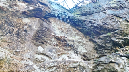 Rocks, Bluffs And The Buffalo National River - image 11