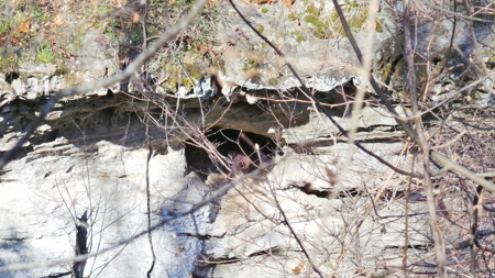 Rocks, Bluffs And The Buffalo National River - image 7