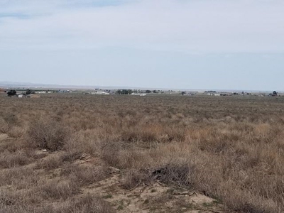 McIntosh Estancia Valley Offers Package of 6 One Acre Lots - image 2