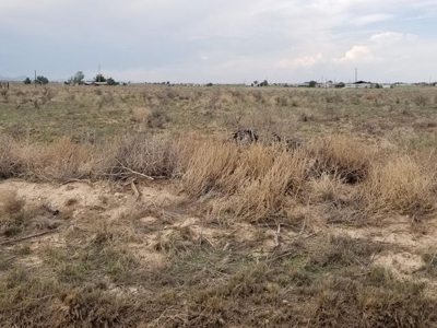 McIntosh Estancia Valley Offers Package of 6 One Acre Lots - image 4