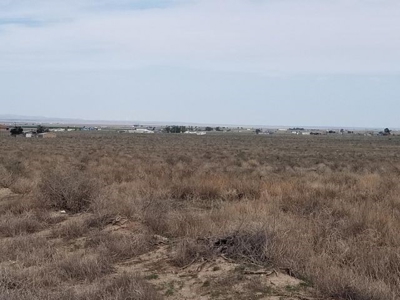McIntosh Estancia Valley Offers Package of 6 One Acre Lots - image 3