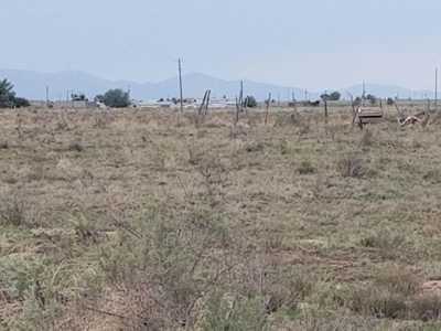 Manzano Mountain Two- One Acre Lots For Sale in New Mexico - image 2