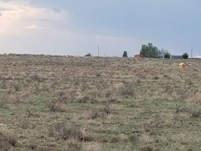 Manzano Mountain Two- One Acre Lots For Sale in New Mexico - image 3
