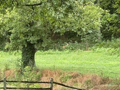 Sale Pending! Farm For Sale In Tn W/ Cabin Near Nashville Tn - image 1