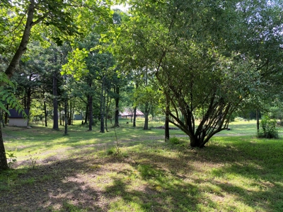 Madison County Arkansas Home and Acreage For Sale - image 15