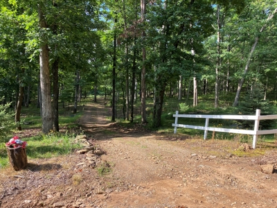 Madison County Arkansas Home and Acreage For Sale - image 13