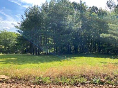 Madison County Arkansas Home and Acreage For Sale - image 19