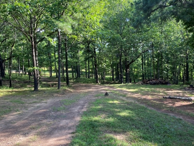 Madison County Arkansas Home and Acreage For Sale - image 16
