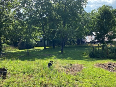 Madison County Arkansas Home and Acreage For Sale - image 14