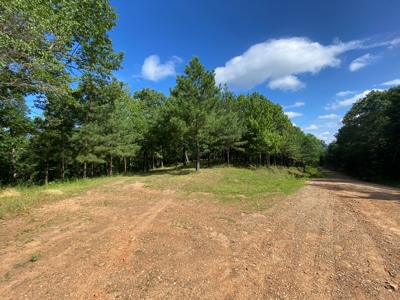 Madison County Arkansas Home and Acreage For Sale - image 20