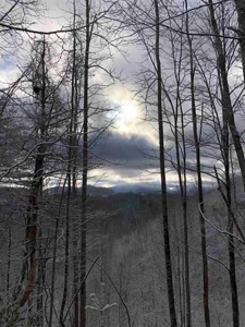 31 Acres For Sale in Mountain City, TN - image 3