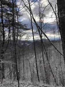 31 Acres For Sale in Mountain City, TN - image 1