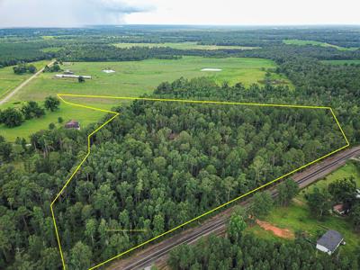 15 Acres For Sale In Ashford AL With Pond - image 17