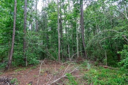 15 Acres For Sale In Ashford AL With Pond - image 6