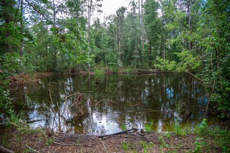 15 Acres For Sale In Ashford AL With Pond - image 8