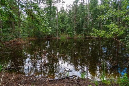 15 Acres For Sale In Ashford AL With Pond - image 12