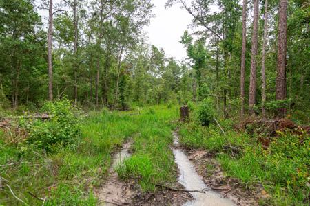 15 Acres For Sale In Ashford AL With Pond - image 3