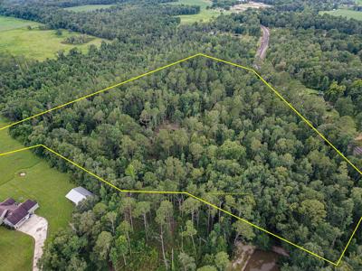 15 Acres For Sale In Ashford AL With Pond - image 19