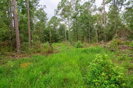 15 Acres For Sale In Ashford AL With Pond - image 13