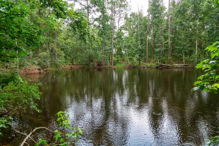 15 Acres For Sale In Ashford AL With Pond - image 7