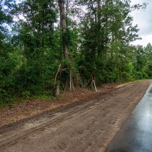 15 Acres For Sale In Ashford AL With Pond - image 15