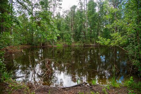 15 Acres For Sale In Ashford AL With Pond - image 9