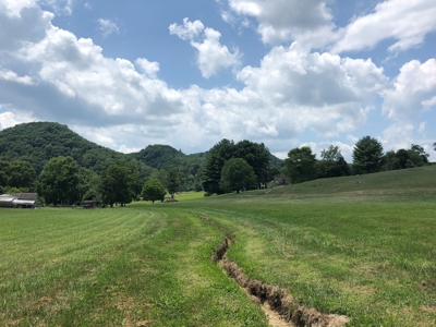 1 Acre Lot in Blountville, TN Land For Sale - image 9