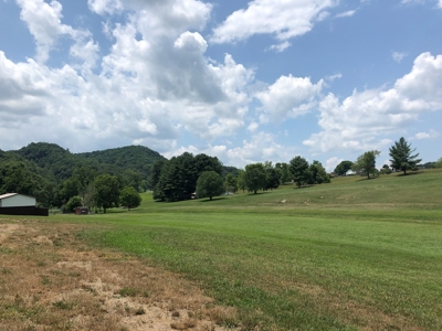 1 Acre Lot in Blountville, TN Land For Sale - image 15
