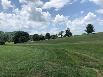 1 Acre Lot in Blountville, TN Land For Sale - image 13