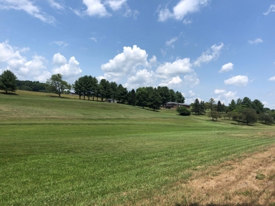 1 Acre Lot in Blountville, TN Land For Sale - image 3