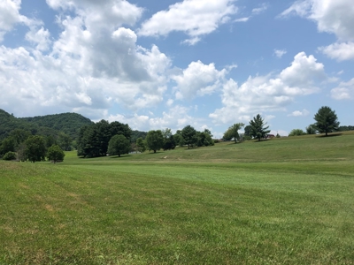 1 Acre Lot in Blountville, TN Land For Sale - image 14