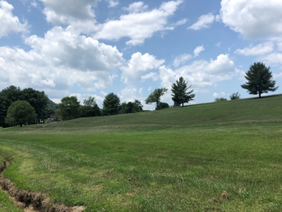 1 Acre Lot in Blountville, TN Land For Sale - image 10