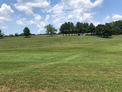 1 Acre Lot in Blountville, TN Land For Sale - image 18