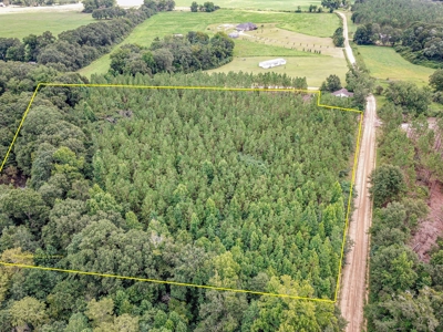 8.6 +/- Acres For Sale In Slocomb AL - image 14