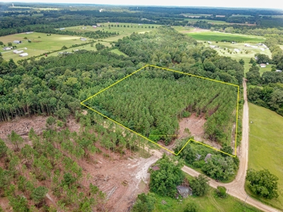 8.6 +/- Acres For Sale In Slocomb AL - image 16