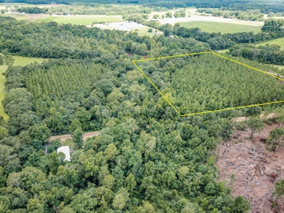 8.6 +/- Acres For Sale In Slocomb AL - image 15