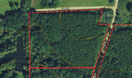 8.6 +/- Acres For Sale In Slocomb AL - image 18