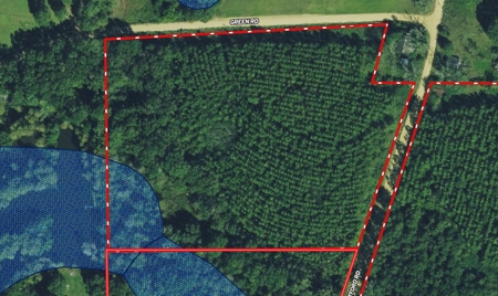 8.6 +/- Acres For Sale In Slocomb AL - image 19