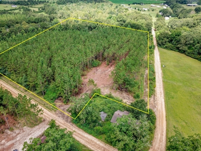 8.6 +/- Acres For Sale In Slocomb AL - image 1